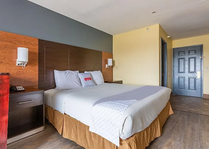 Economy - Airport Hotel