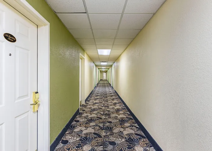 Economy - Airport Hotel
