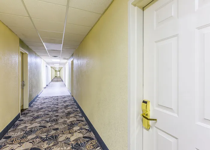 Economy - Airport Hotel 4*